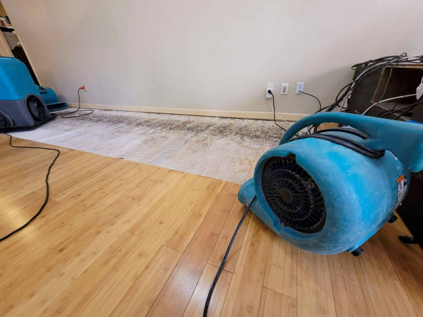 Professional Basement Flood Cleanup technician working in Hilltop, SC